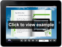 demobook created by Flip PDF for iPad